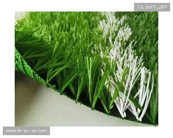 罗森博格客场连遇难题,进攻线折损还能否在人工草皮上翻身? 罗森博格客场连遇难题,进攻线折损还能否在人工草皮上翻身?